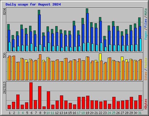 Daily usage for August 2024