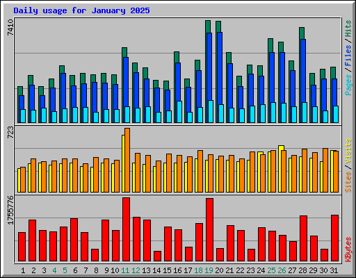 Daily usage for January 2025