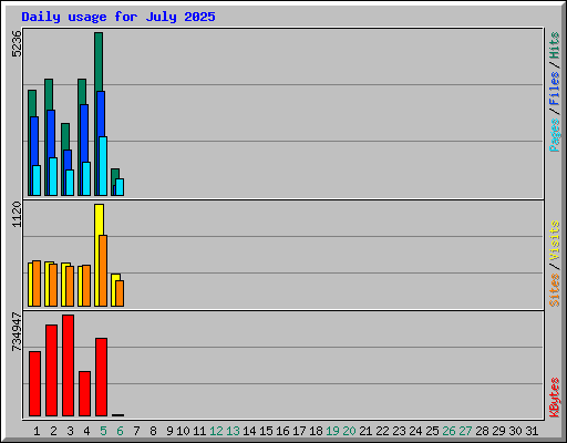 Daily usage for July 2025