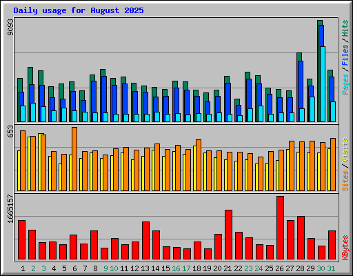 Daily usage for August 2025