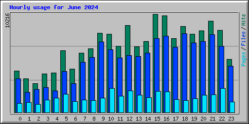 Hourly usage for June 2024