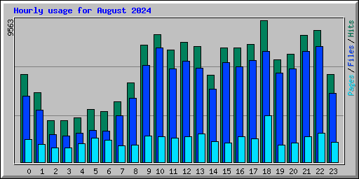 Hourly usage for August 2024