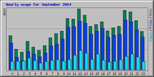 Hourly usage for September 2024