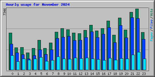 Hourly usage for November 2024