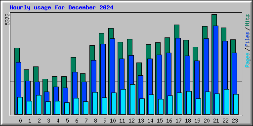 Hourly usage for December 2024