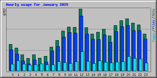 Hourly usage for January 2025