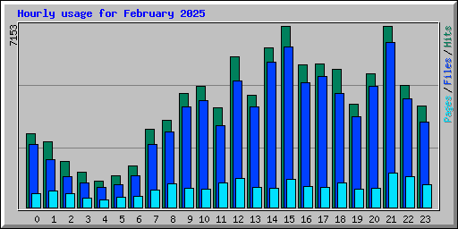 Hourly usage for February 2025