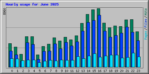 Hourly usage for June 2025