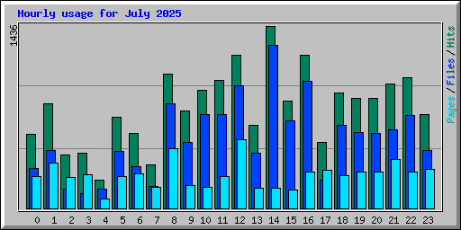 Hourly usage for July 2025
