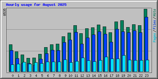 Hourly usage for August 2025
