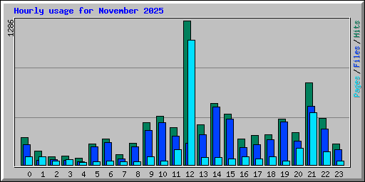 Hourly usage for November 2025