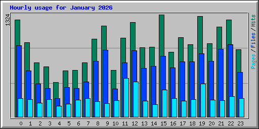 Hourly usage for January 2026