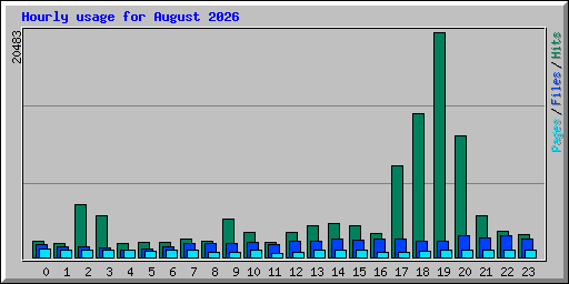 Hourly usage for August 2026